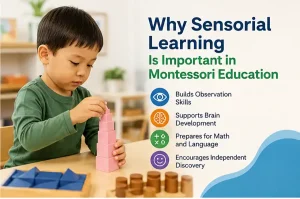 sensorial learning in Montessori